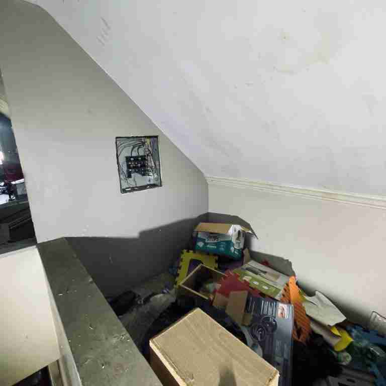 20506 Cardoni (46).jpg